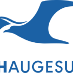 FK Haugesund FC